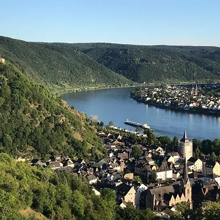 Pferdehof Rheintal Bei Koblenz Braubach