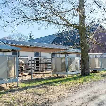 Pferdehof Rheintal Bei Koblenz Braubach